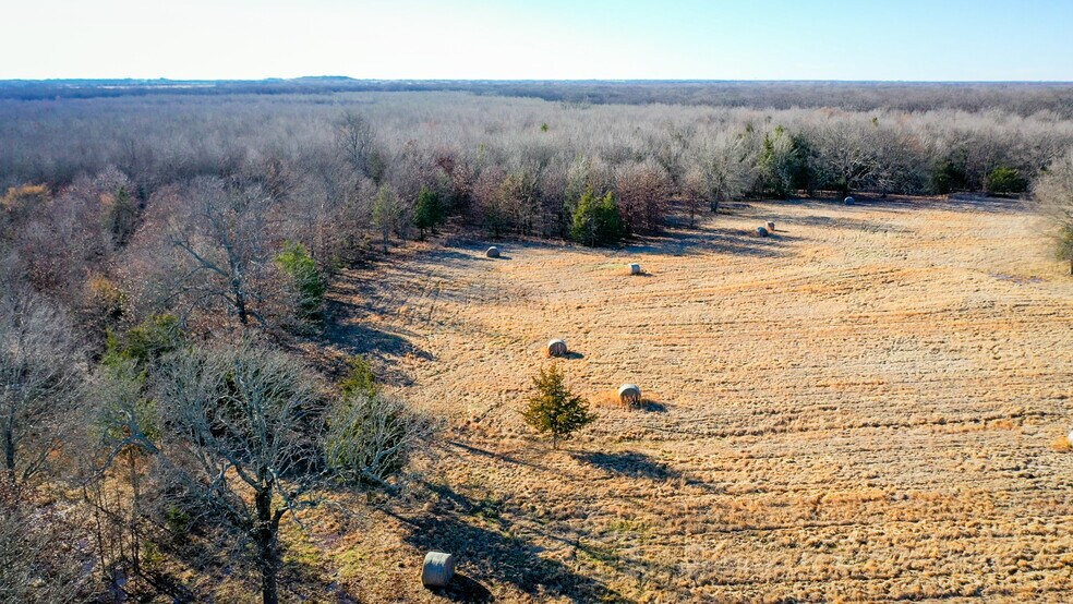 More Photos Of 1200 County 1255 rd, Detroit Land For Sale