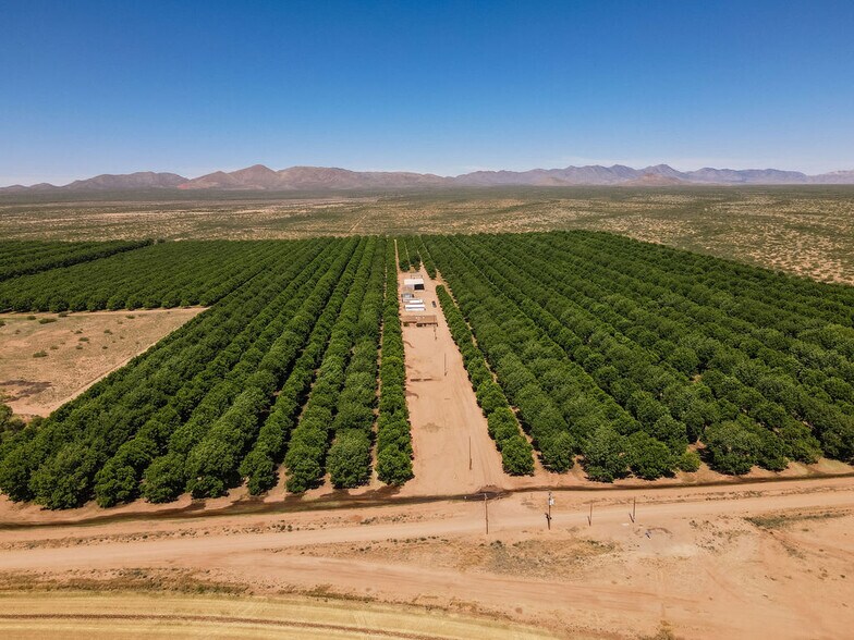 Primary Photo Of 4968 W Gleeson Rd, Elfrida Land For Sale