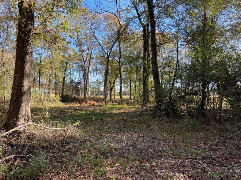 More Photos Of 4106 Hwy 69 S Hwy, Lumberton Land For Sale