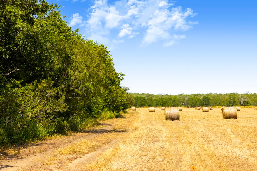 More Photos Of Tor Drive, Seguin Land For Sale