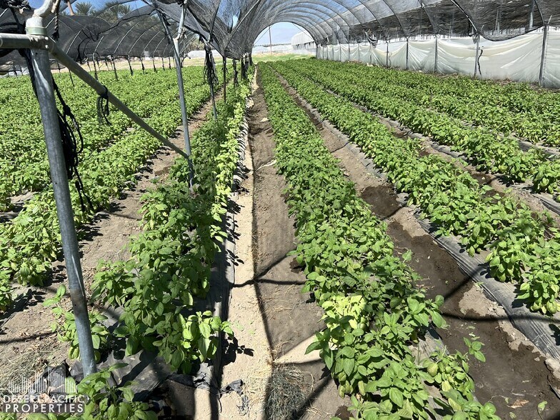 More Photos Of 78100 Harrison St, Thermal Land For Sale