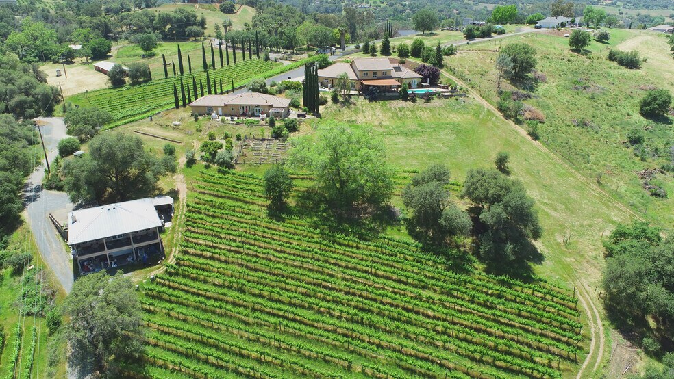 More Photos Of 7071 Ridge Road, Newcastle Winery Vineyard For Sale