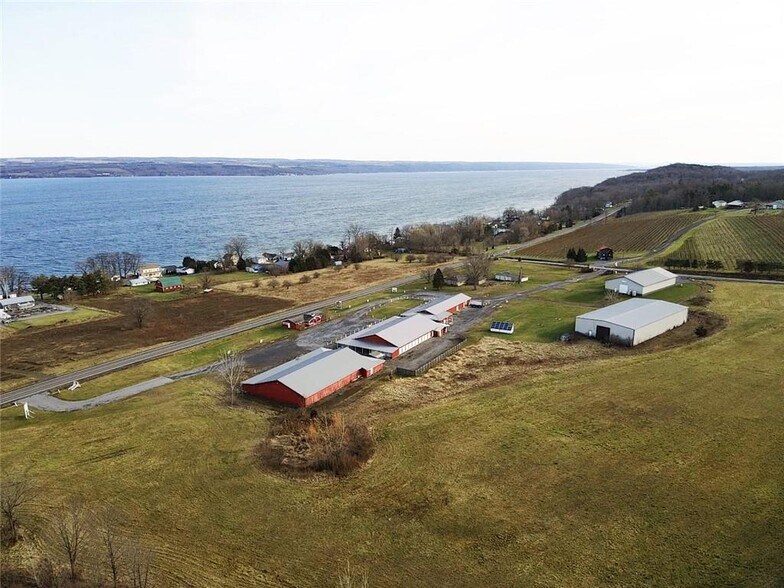 More Photos Of 6128 State Route 89, Romulus Winery Vineyard For Lease