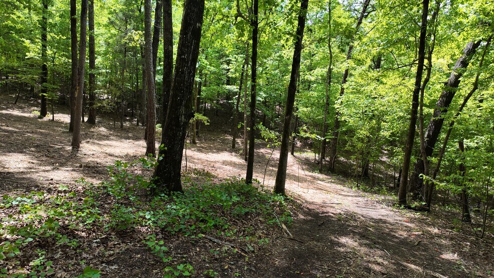 More Photos Of 0 Bullock Bridge Rd, Monroe Land For Sale