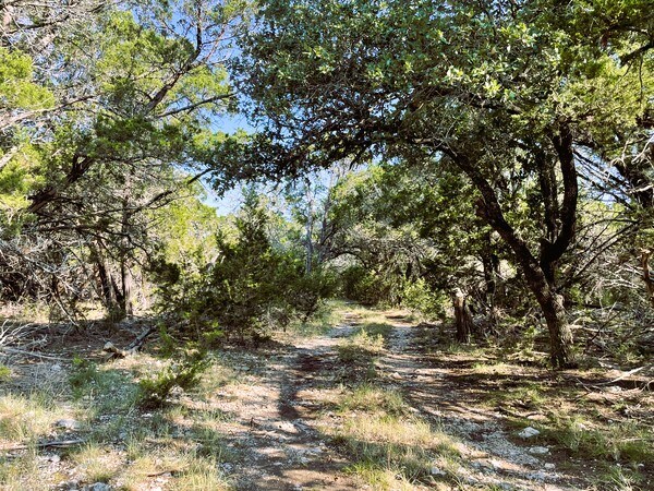 More Photos Of 4547 County Road 108, Burnet Land For Sale
