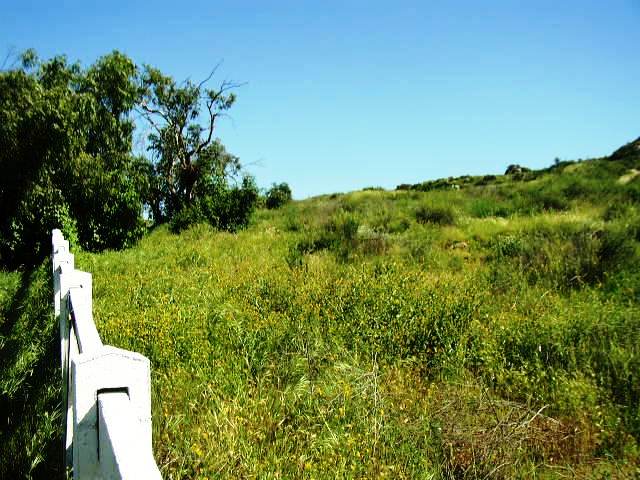 More Photos Of Nuevo Rd, Nuevo Land For Sale