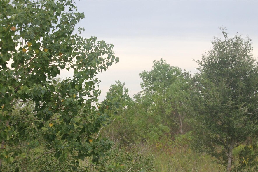 More Photos Of Hwy 99, Baytown Land For Sale