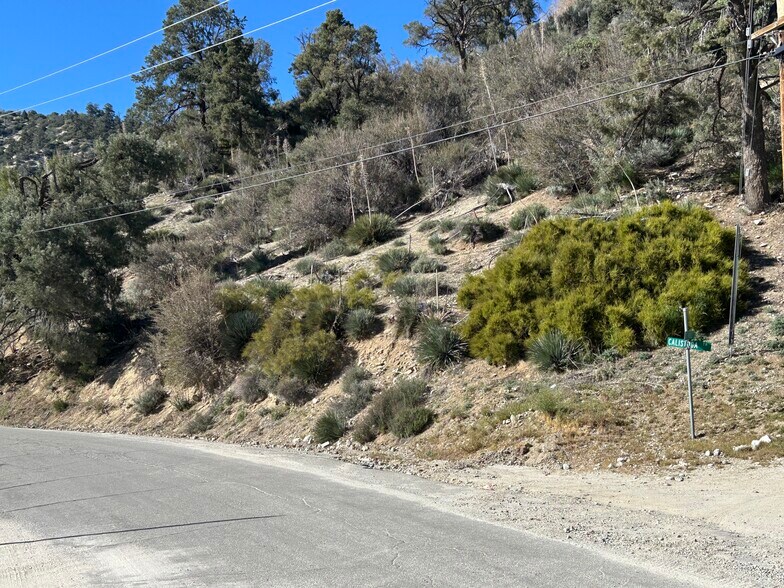Primary Photo Of Los Padres dr, Frazier Park Land For Sale