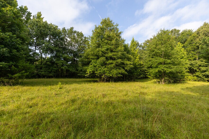 More Photos Of 9712 US Highway 31, Hope Hull Land For Sale