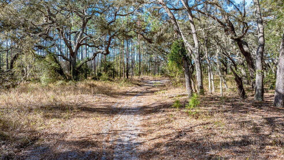 More Photos Of 13615 Tyrone St, Hudson Land For Sale