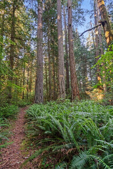 More Photos Of 1052 E Mason Lake Dr W, Grapeview Land For Sale