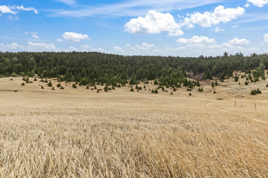 More Photos Of NHN (Parcel A-2) Suce Creek Road, Livingston Land For Sale