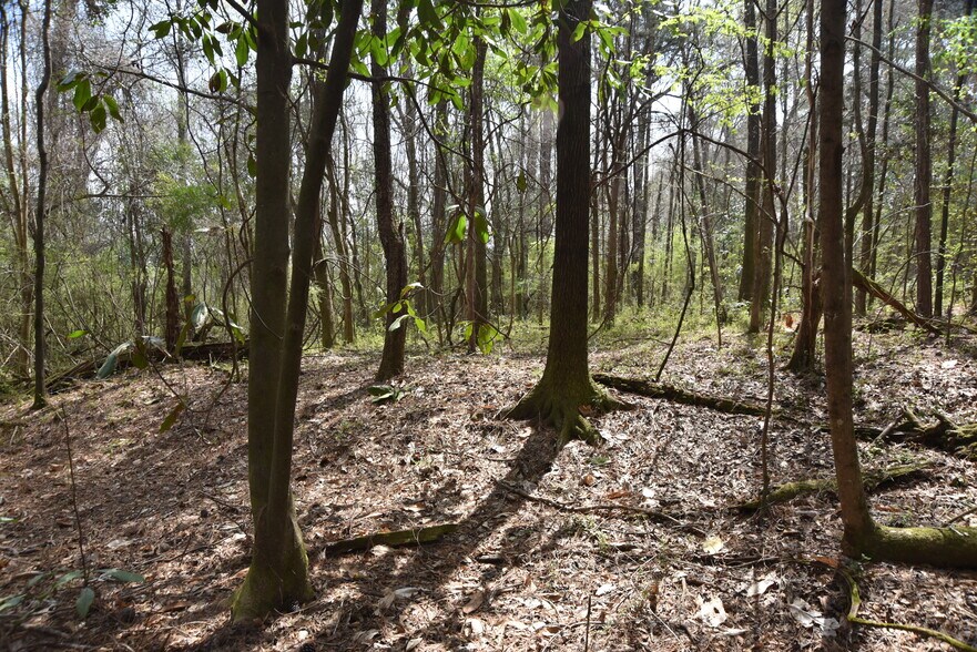 More Photos Of Warm Springs Rd @ GA-208, Waverly Hall Land For Sale