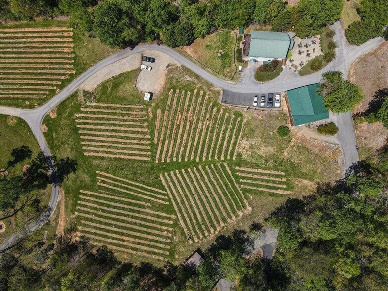 More Photos Of 366 Paradise Rd, Blairsville Winery Vineyard For Sale