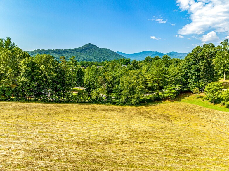 More Photos Of 703 Crestview Dr, Leicester Land For Sale