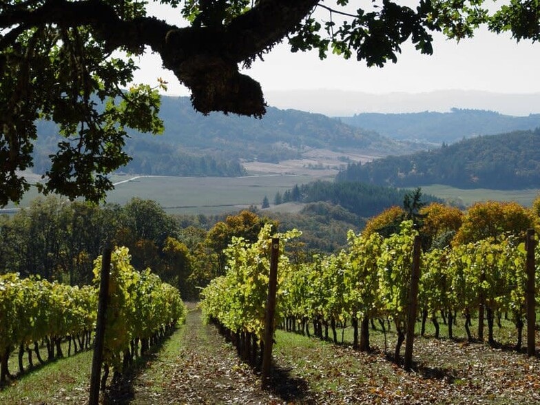 More Photos Of 10660 SW Youngberg Hill Rd, Mcminnville Hotel For Sale