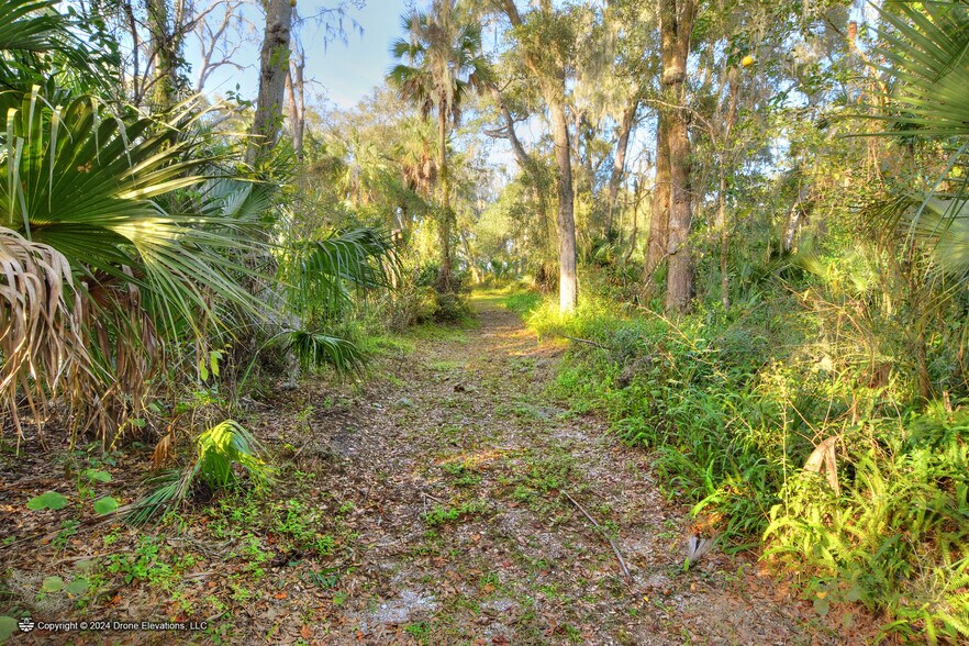More Photos Of 8418 Lupton Place pl, Plant City Land For Sale