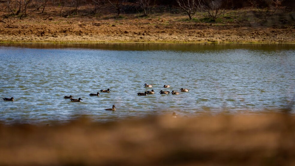 More Photos Of Texas 97, Cost Land For Sale