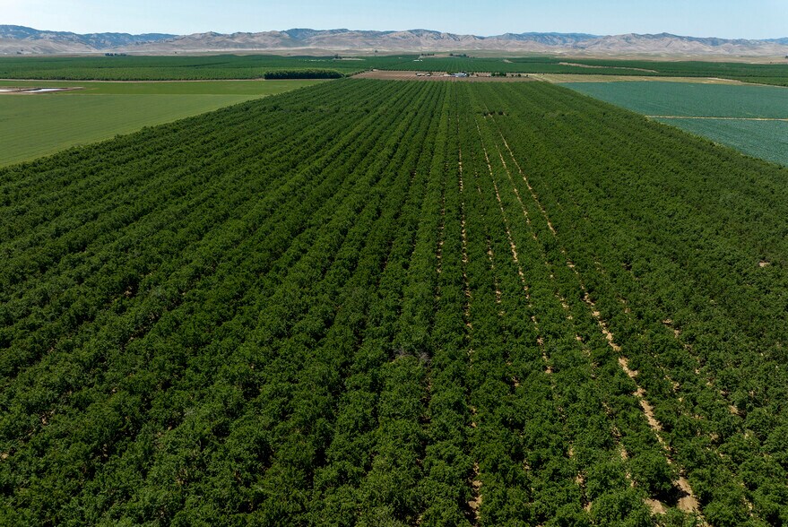 More Photos Of Draper Rd, Newman Land For Sale