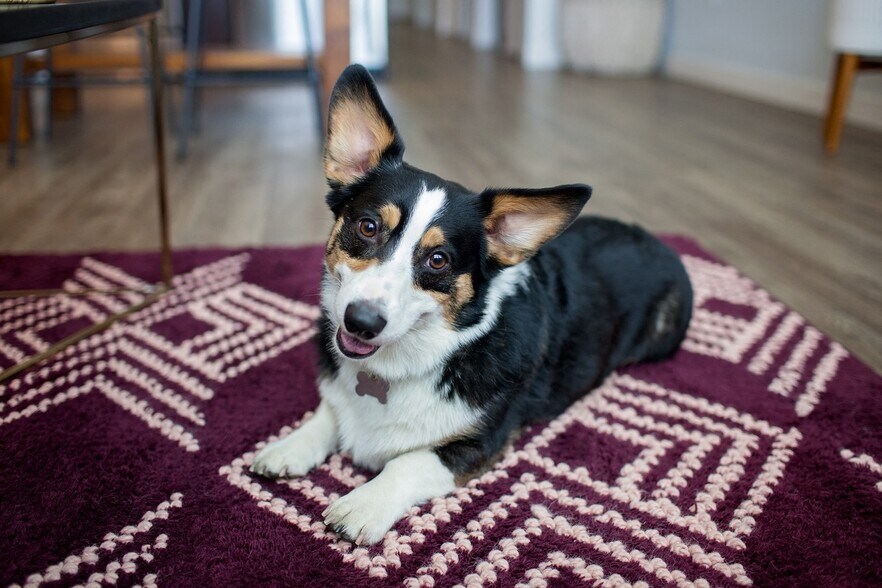 More Photos Of 1650 NW 23rd Ave, Portland Apartments For Lease