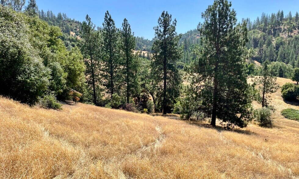 More Photos Of 00000 Forrest Road 1N19, Tuolumne Land For Sale