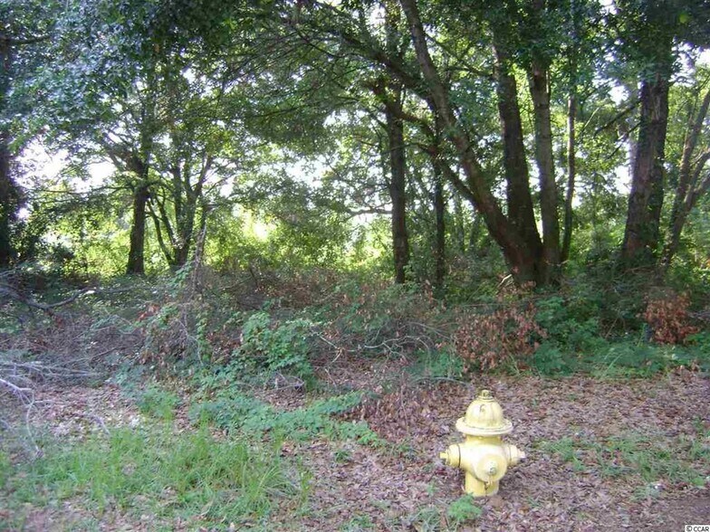 More Photos Of Wall St., Pawleys Island Land For Sale