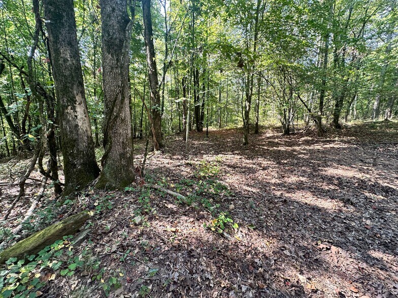 More Photos Of 00 Frix Rd, Cumming Land For Sale