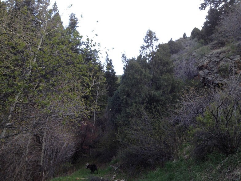 More Photos Of 2056 Idaho Springs Road, Idaho Springs Specialty For Lease