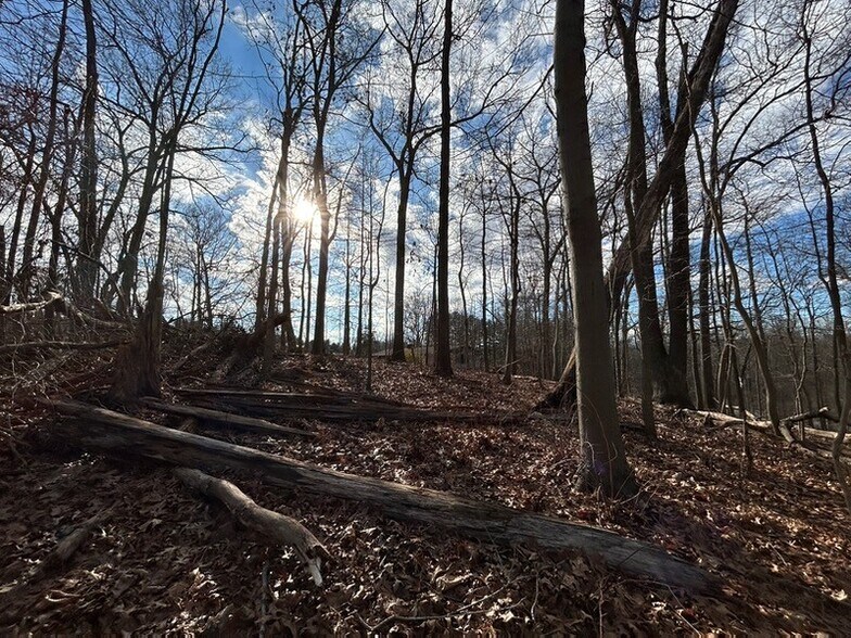 More Photos Of 4355 Old Roxbury Rd, Brookeville Land For Sale