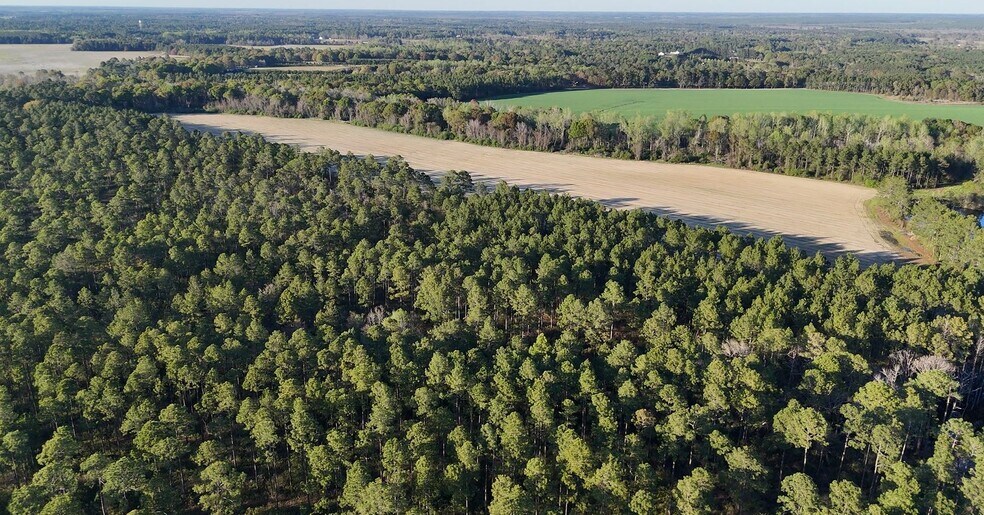 Primary Photo Of Ferry Lake rd, Tifton Land For Sale