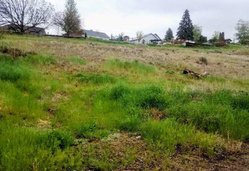 More Photos Of 222 Kenwood st, Omak Land For Sale