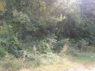 More Photos Of W Thompson Rd & Riverside Dr, Thompson Land For Sale