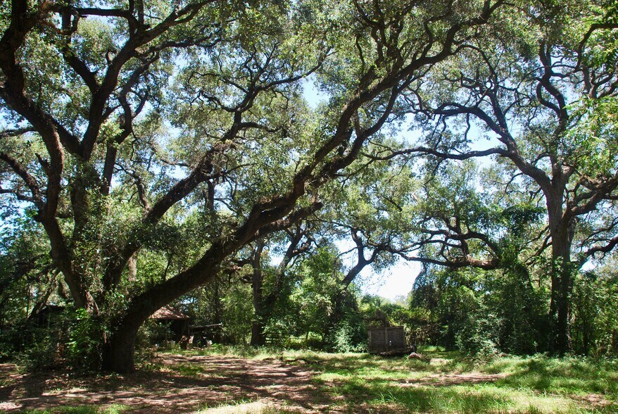 More Photos Of 29 County Road 77B, Hallettsville Land For Sale