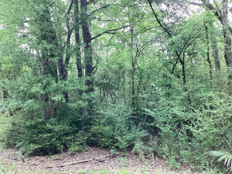 More Photos Of 0 County Road 4876, Dayton Land For Sale