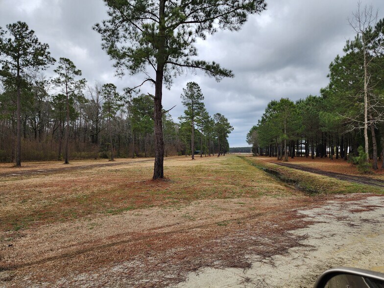 More Photos Of 577 Hoff Rd, Belhaven Land For Sale