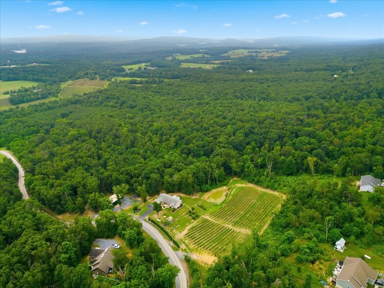 More Photos Of 1309 Redland Rd, Cross Junction Winery Vineyard For Sale