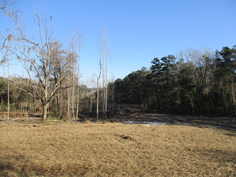 More Photos Of 252 NW Cali Dr, Lake City Land For Sale