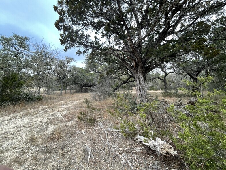 More Photos Of 10151 State Highway 16 S, Pipe Creek Office Residential For Sale