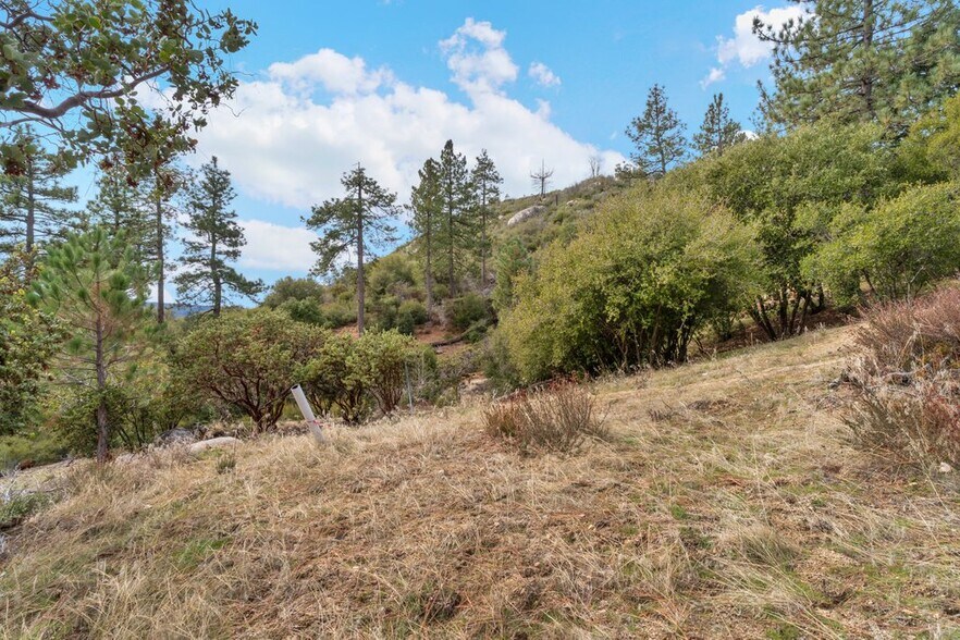 More Photos Of 53505 Ridge Rd, Idyllwild-Pine Cove Land For Sale