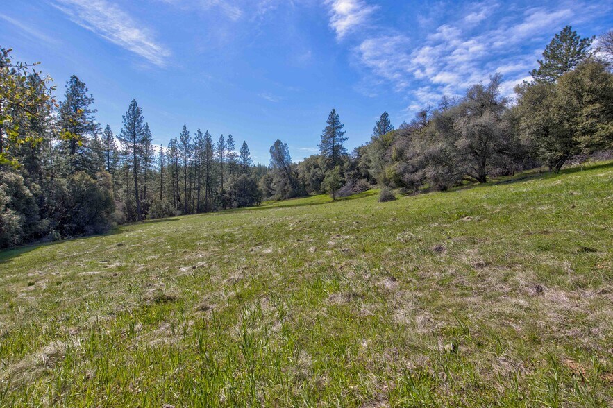 More Photos Of 18800 Charleston Rd, Volcano Land For Sale