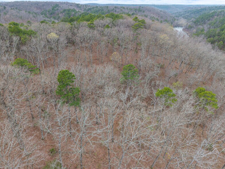 More Photos Of 0 Jordan Drive, Eureka Springs Land For Sale