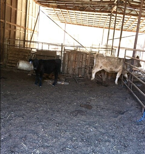 More Photos Of 13200 Del Puerto Canyon Rd, Livermore Land For Sale