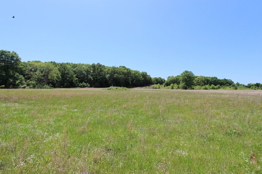 More Photos Of 278 Highway 64 E, Conway Land For Sale