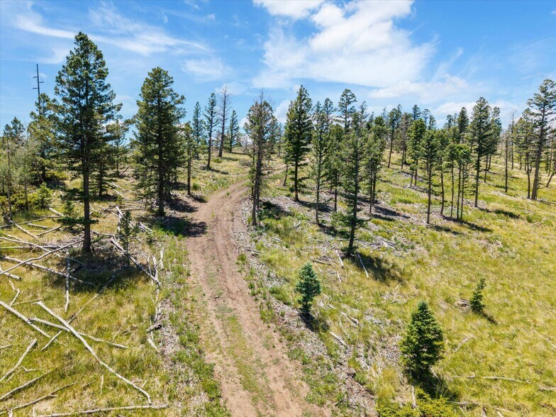 More Photos Of 45835 US Hwy 285, Poncha Springs Land For Sale