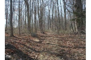 More Photos Of 251 N Main St, Branford Land For Sale