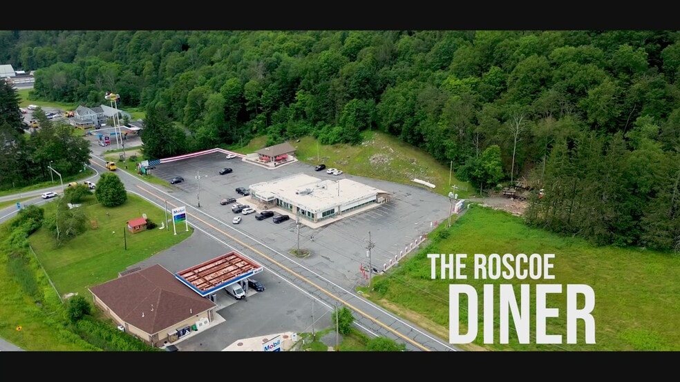 Primary Photo Of 1908 Old Route 17, Roscoe Restaurant For Sale