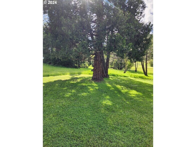 More Photos Of 0 NE Orchard Dr, Myrtle Creek Land For Sale
