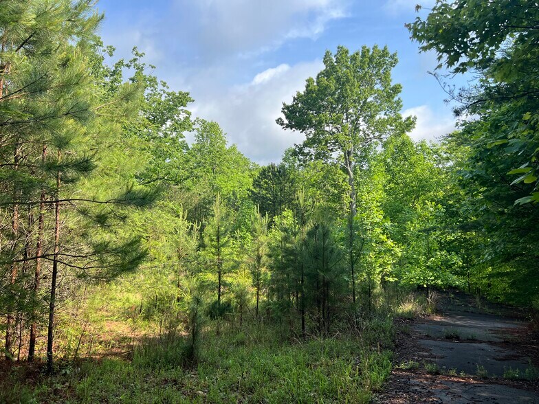 More Photos Of 395 Able rd, Waleska Land For Sale