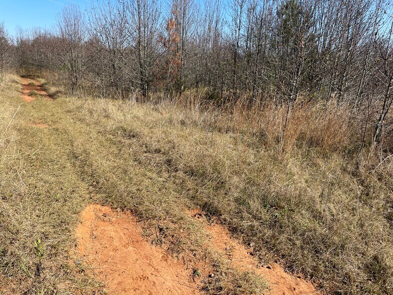 More Photos Of 2501 Auburn SW, Decatur Land For Sale