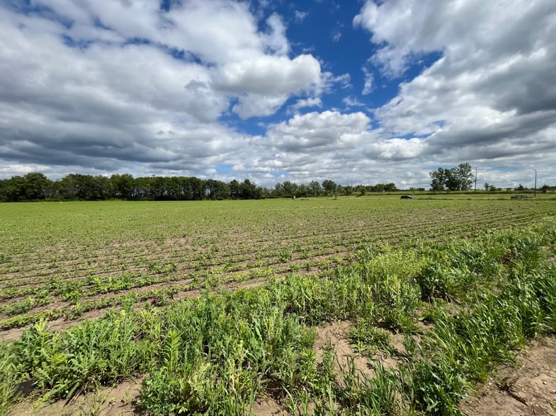 More Photos Of 3690 Eagle Creek Blvd, Shakopee Land For Sale